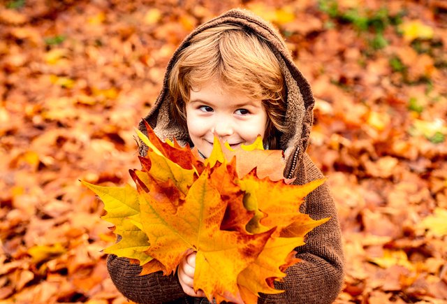 10 идей для осенних выходных с детьми: будет много листьев, творчества и фантазий