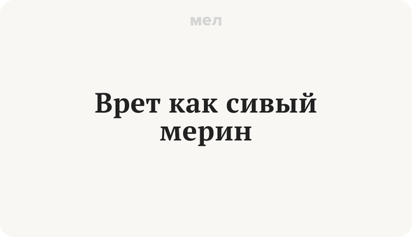 Врет как сивый мерин