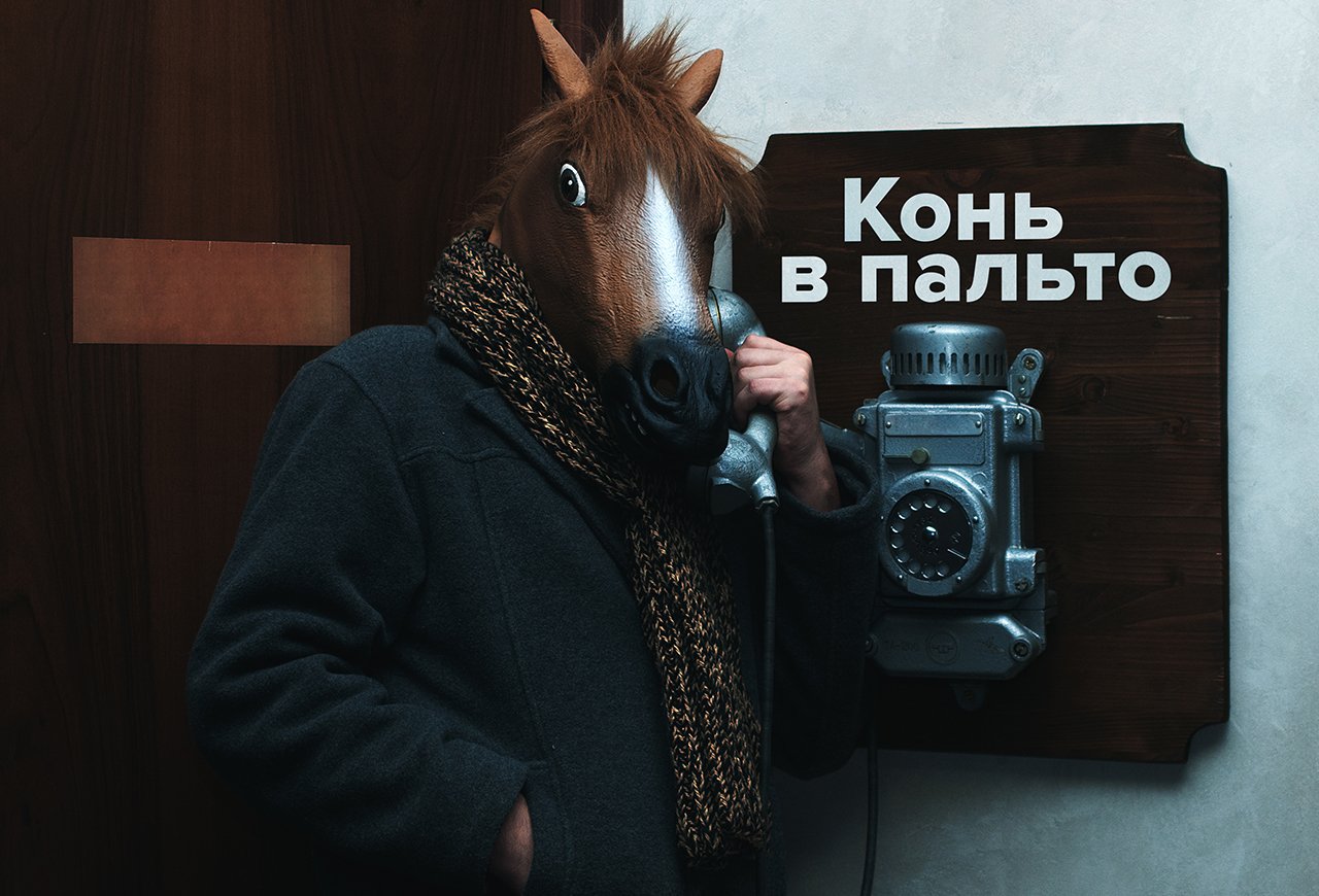 Конь в пальто фото