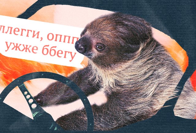 грамотность