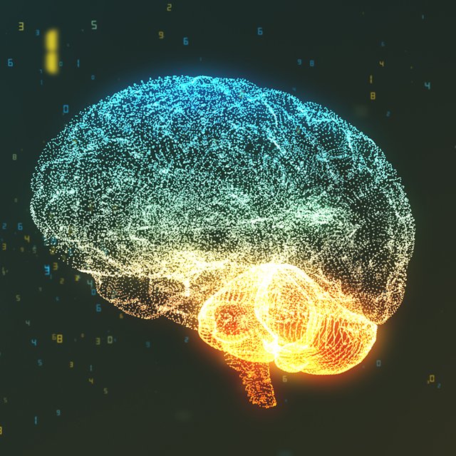 «Мы используем только 10% своего мозга» и ещё 4 мифа, которые давно пора забыть