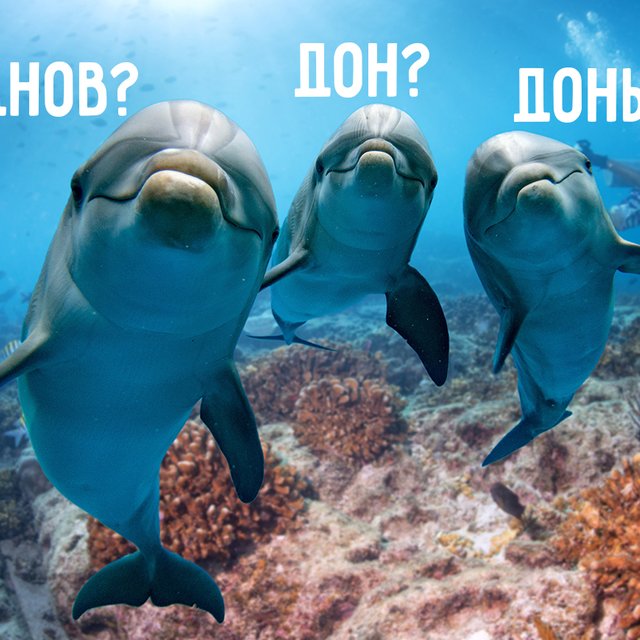 Много «туфлей» или «туфель»? Тест: поставьте существительное или глагол в правильную форму