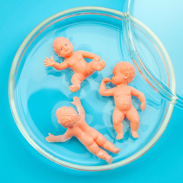 Почему не стоит отменять ЕГЭ, чего не хватает в обществознании и что не так с ЭКО по квоте