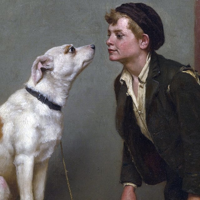 Ребёнок всё время хочет погладить собак на улице. Насколько это опасно?