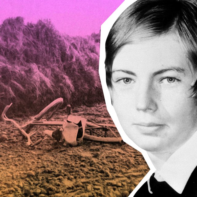 Куда исчезла Эйприл Фабб? Школьница пропала за 7 минут, её ищут уже 52 года, но в деле — ни одной улики