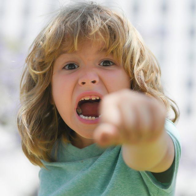 Нужно ли учить ребенка давать сдачи в детском саду