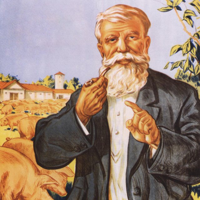 Развивать свиноводство или уважать старость? Тест: что хотели сказать авторы советских плакатов