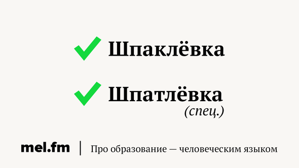 Шпатлевка или шпаклевка как правильно