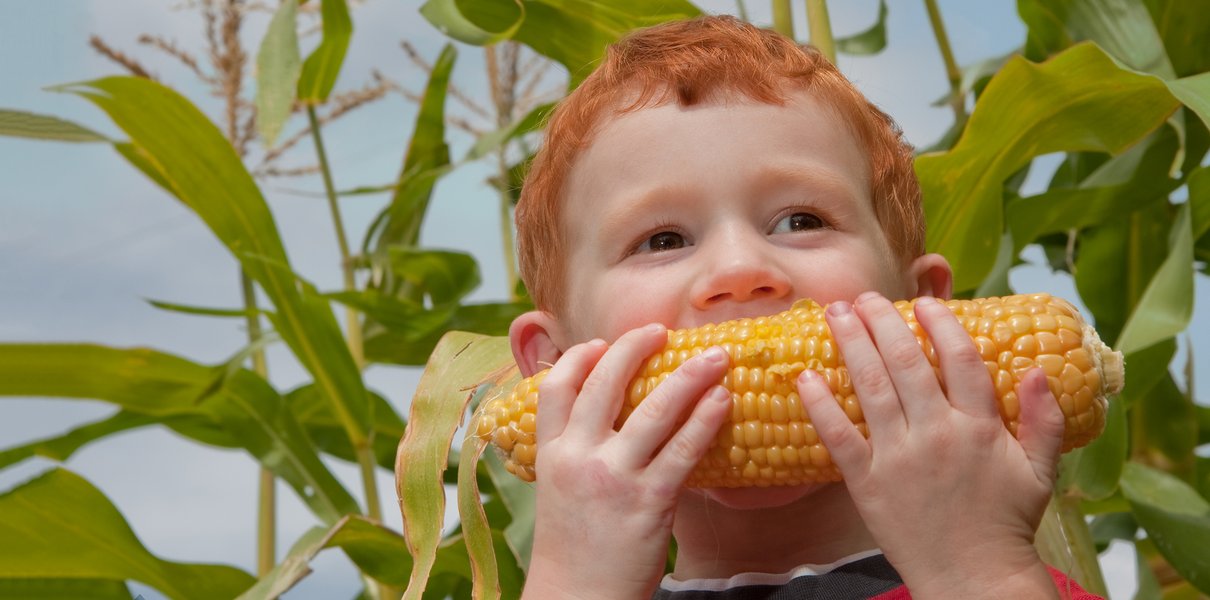 Можно ли переводить детей на вегетарианский тип питания? С какого возраста?