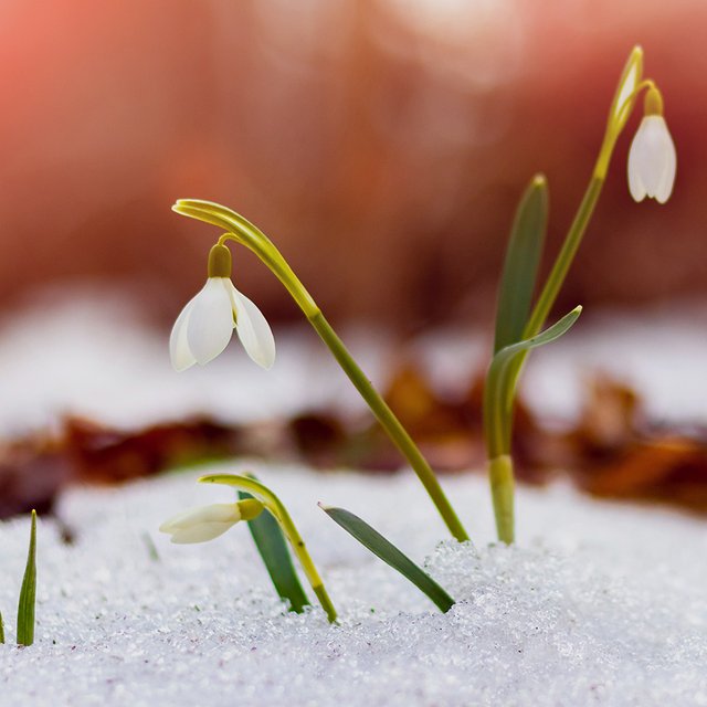 Как правильно: «март-месяц» или «март месяц»? И нужно ли здесь вообще слово «месяц»?