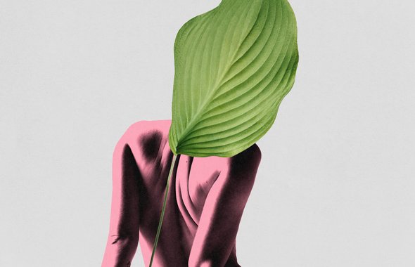 Коллаж, тело мужчины или женщины, которое перекрывается листиками с дерева. Чек-ап для вашего возраста