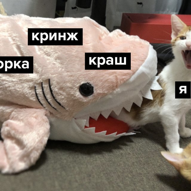 «Феминитивы в живой речи режут слух». Подростки — о грамотности, мате и точках в конце сообщений