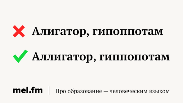 Тоже что и вес ответ с удвоенной согласной. Смотреть фото Тоже что и вес ответ с удвоенной согласной. Смотреть картинку Тоже что и вес ответ с удвоенной согласной. Картинка про Тоже что и вес ответ с удвоенной согласной. Фото Тоже что и вес ответ с удвоенной согласной