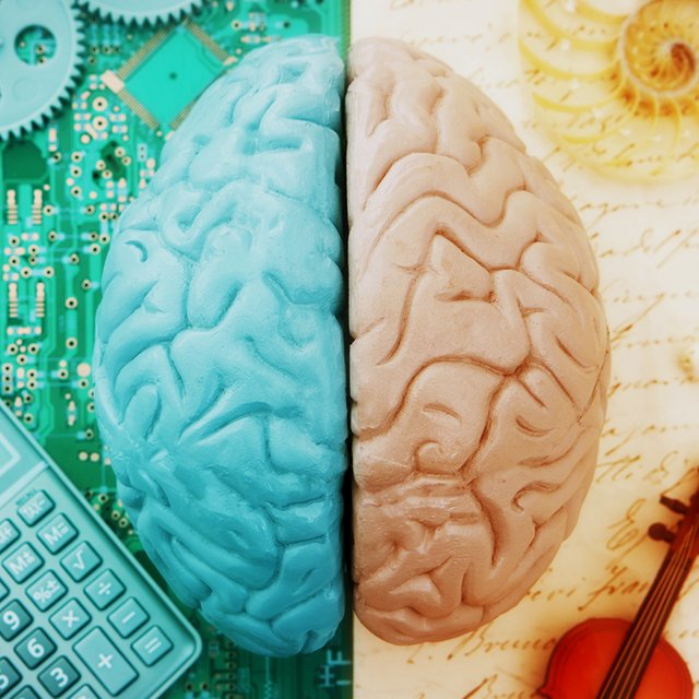 Как увлечь гуманитариев точными науками, а технарей — литературой и музыкой