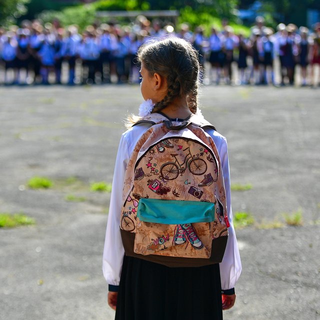 Не только запрет телефонов: что еще изменится в школах и вузах с 1 сентября