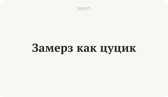 Как цуцик что значит. Как цуцик что значит