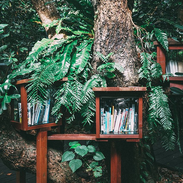 12 необычных библиотек со всего мира