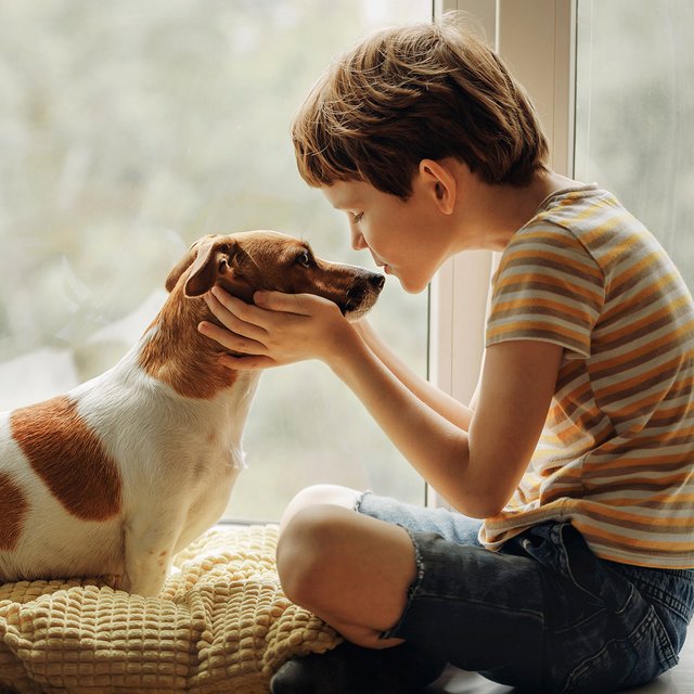 А это агрессивная порода? Советы родителям, которые решили завести собаку