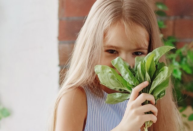 Чем заняться с дошкольником на выходных: лото из трав и приправ и придуманный мир