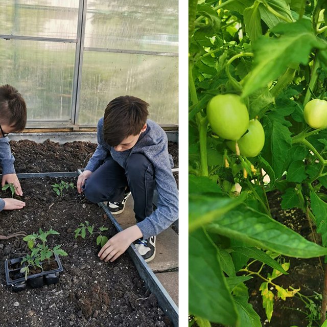 Учитель из Москвы устроил в школе теплицу: зачем он это сделал и как отреагировали дети