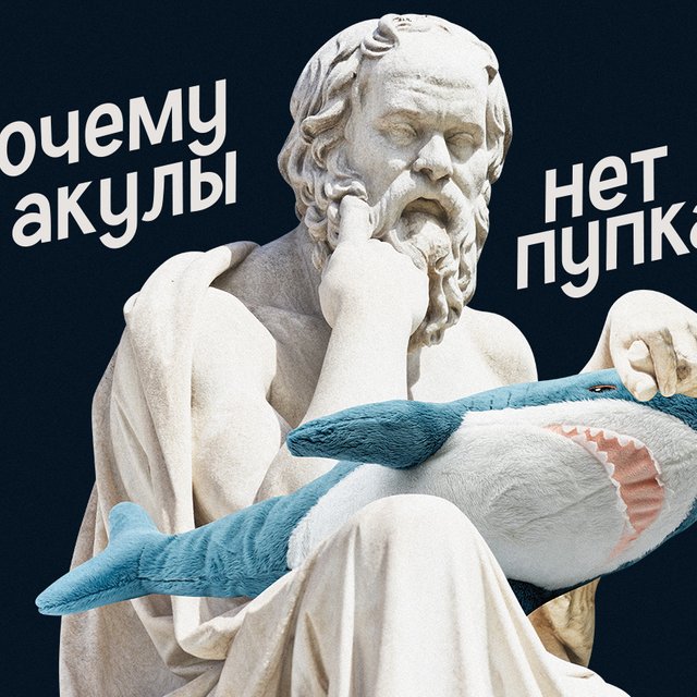 8 детских вопросов, которые ставят взрослых в тупик. Проверьте, сможете ли вы ответить на них правильно