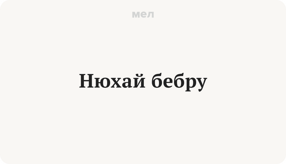 Как выглядит бебро. Люблю Бебру. Нюхай Бебру. Нюхай Бебру надпись. Бебра Мем.