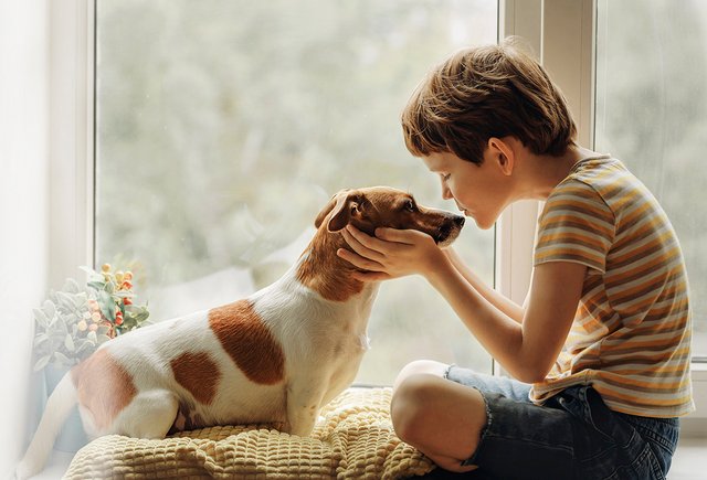 Что нужно знать перед покупкой собаки: советы родителям | Мел | Мел