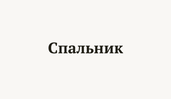 Спальник