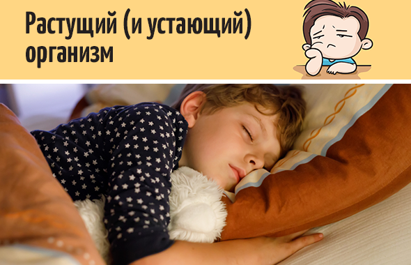 Растущий (и устающий) организм