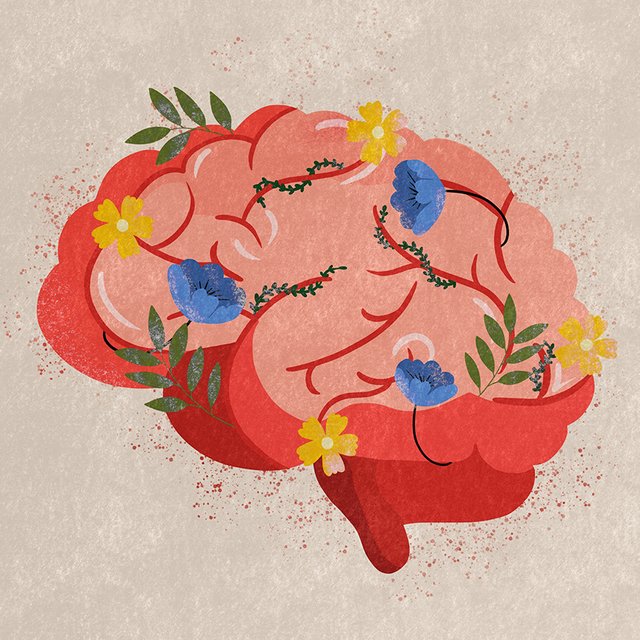 За урок можно запомнить не больше 5 фактов: как нейронауки помогают решить проблемы школьников