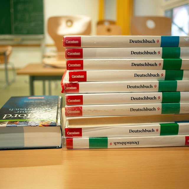 «Аргумент тех, чьи дети не очень трудолюбивы». В школах отменяют второй иностранный: что случилось?