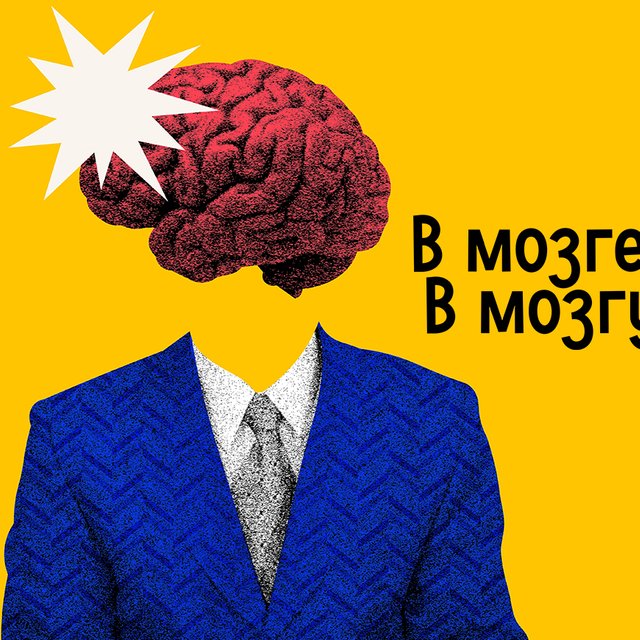 «В мозге» или «в мозгу»: как говорить правильно