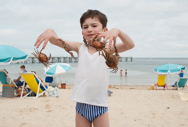 Что посмотреть на каникулах: сериалы, мультики и документальные фильмы