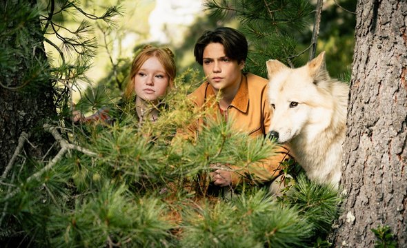 Фильм «Дети леса 2» — фэнтези про подростков-оборотней и настоящих животных (6+)