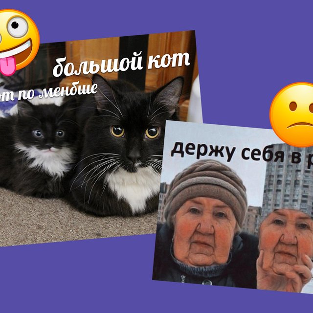 «Большой кот, кот по менбше…» Тест: понимаете ли вы мемы, над которыми смеются школьники