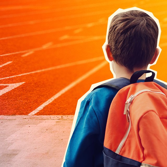 Поступить по олимпиаде: как участвовать и побеждать в школьных олимпиадах