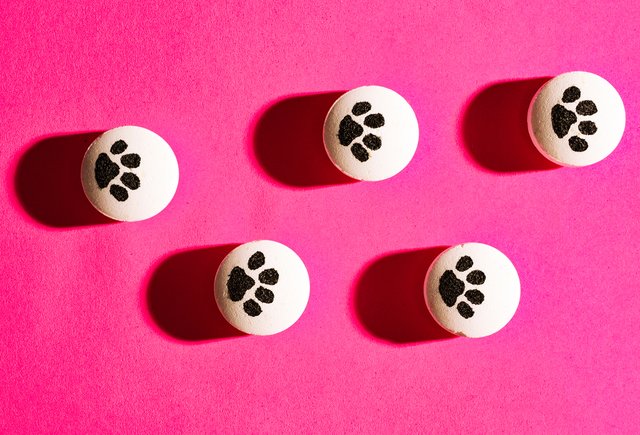 Таблетки для собак с маркетплейсов: зачем их покупают подростки и чем это опасно