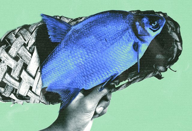 Почему батя дает леща, а не карася или окуня