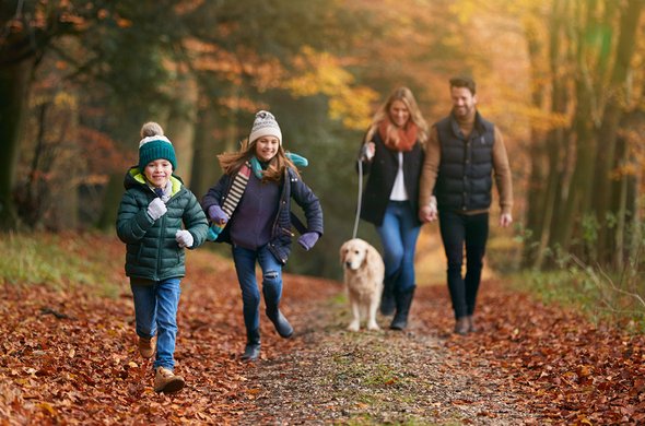 родитель, лес, женщина, кавказец, папа, отец, счастливый, зима, мама, бежать, ветка, праздник, двое, отношение, красивый, мать, сын, дети, радость, четверо, повседневный, сезон, мужчина, день, досуг, парк, вместе, дети, улыбаясь, обнимаются, четыре человека, природа, дерево, девочка, портрет, подросток, люди, образ жизни, на открытом воздухе, снаружи, человек, снег, взрослый, семья, дочь, веселье, ребенок, родители;