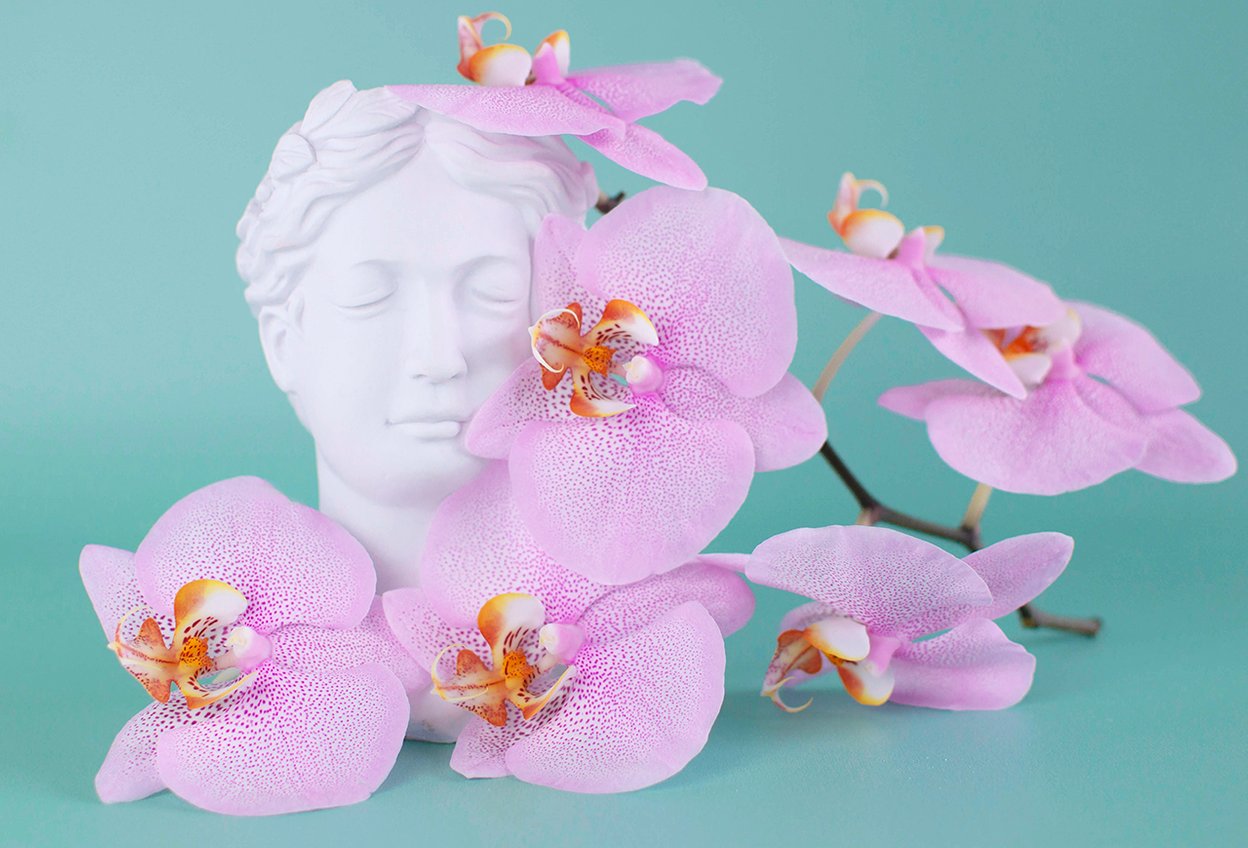 Статуя, скульптура головы, в окружении цветов. Инсульт. Как помочь пережившим инсульт и позаботиться о своем здоровье