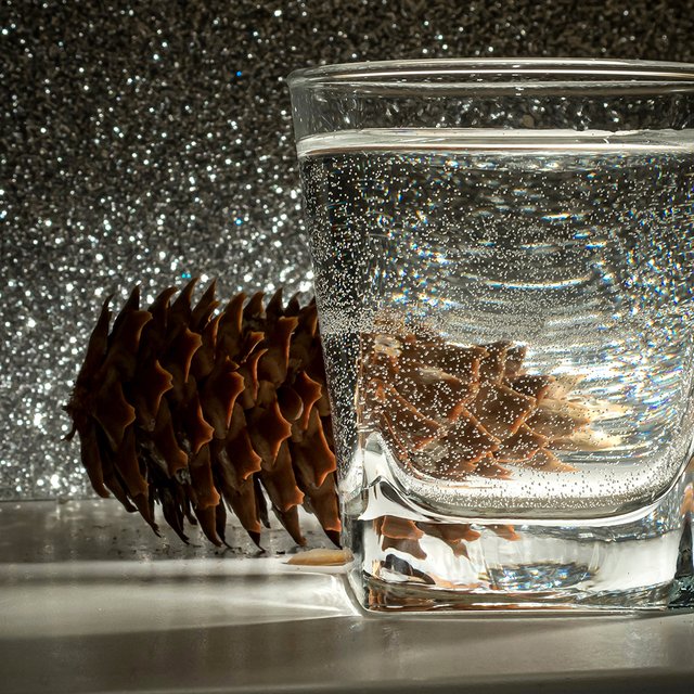 Как ведут себя шишки в воде: интересные мастер-классы для дошкольников