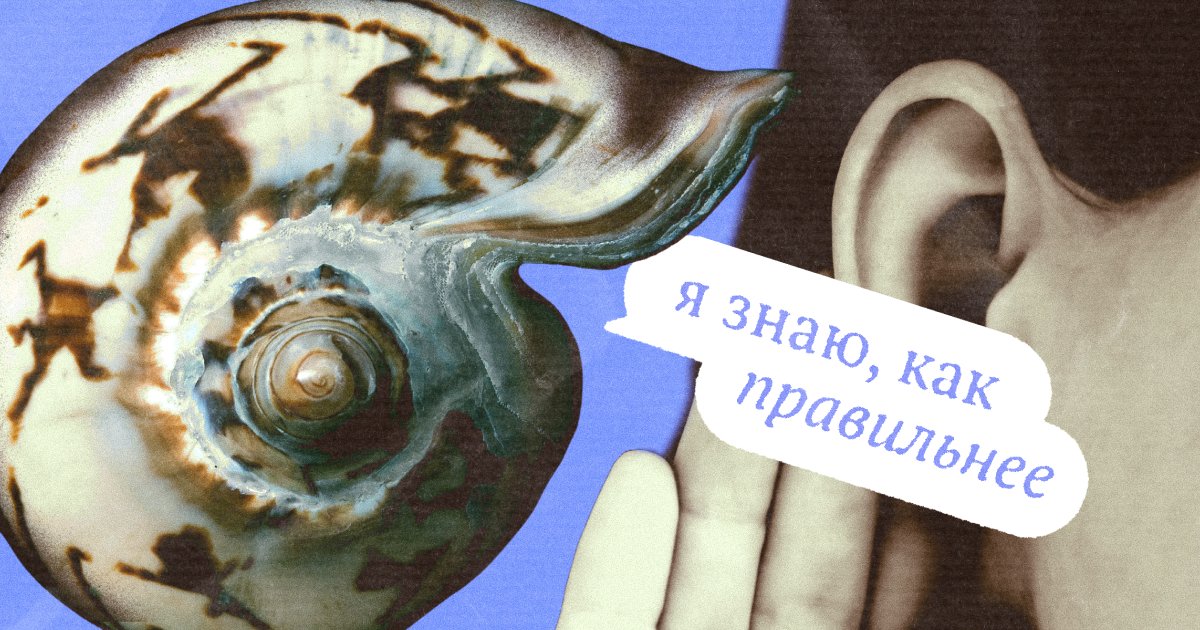 «Раку́шка» или «ра́кушка»? Как говорить правильно