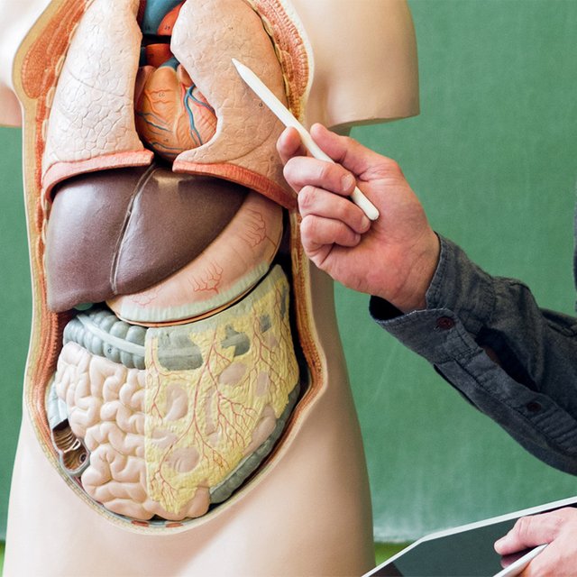 Поступить в медицинский на бюджет с невысокими баллами ЕГЭ: как это сделать