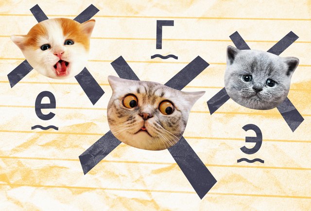 Главные ошибки в тестовой части ЕГЭ по русскому языку — 2026