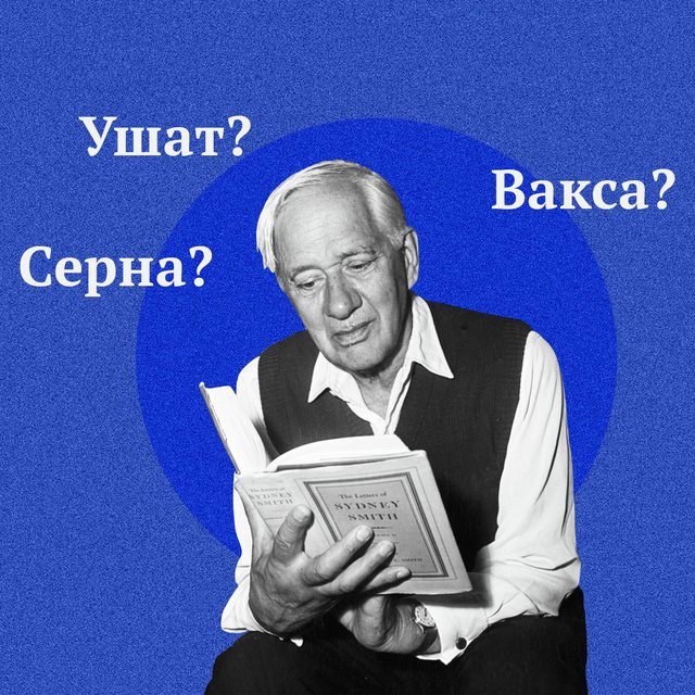 8 непонятных слов из сказок Чуковского: вы точно знаете, что такое «вакса»? А кто такая «хавронья»?