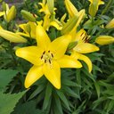 Фото пользователя