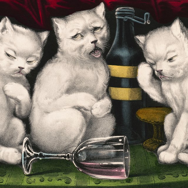 «ОткУпорить» или «откупОрить»: как говорить правильно