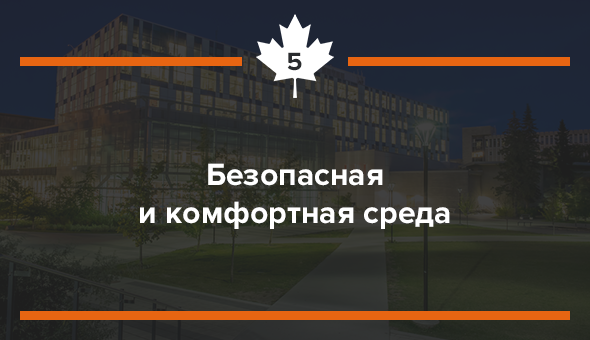 Безопасная и комфортная среда