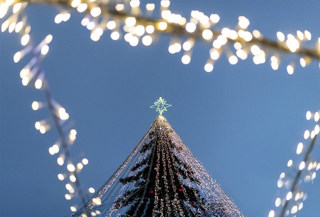 Новогодние подарки — 2025 от соцзащиты, «Госуслуг» и губернаторов: кто и как может получить их в 24 регионах