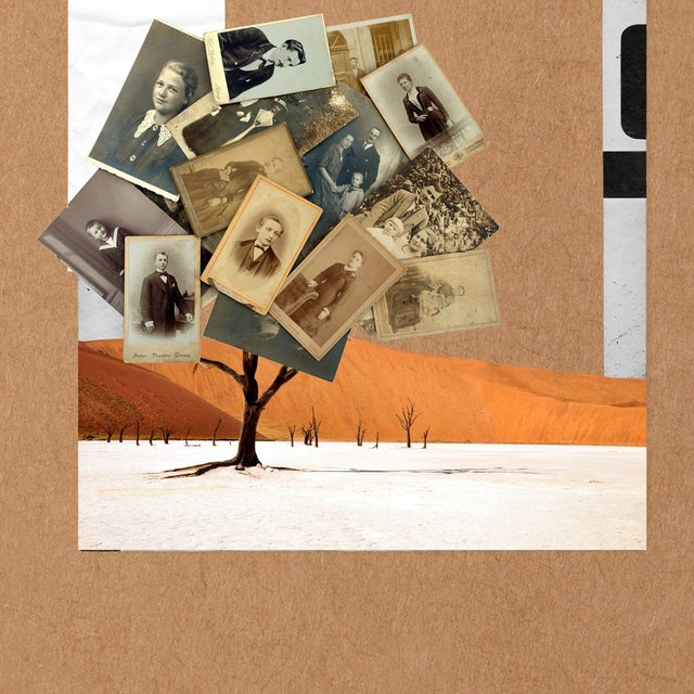 «Люди ищут людей — среди живых и мертвых». Почему генеалогия стала популярной и как устроены поиски родни